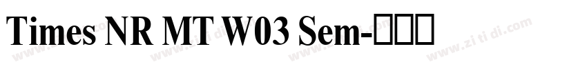 Times NR MT W03 Sem字体转换 Times NR MT W03 Sem字体转换